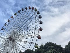 -温州乐园