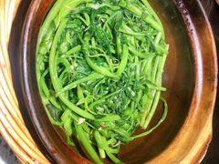 -熠盛粤味·顺德桑拿鸡(永康路店)