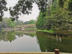 -晓港公园