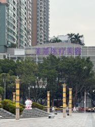 -广州美莱医疗美容医院