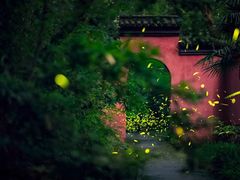 -灵谷景区