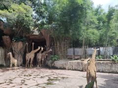 -长鹿旅游休博园