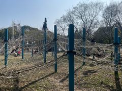 -长广溪湿地公园