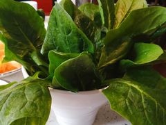 -九府羊·鲜羊火锅·烤串(新华路店)