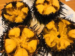 -海胆小馆(东北水饺·春柳店)