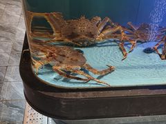 -阿伟海鲜楼·福建菜(延寿店)