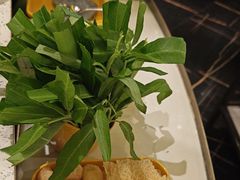 -润园四季椰子鸡火锅(海上世界店)