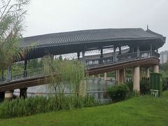 -眉山湿地公园(东坡区)