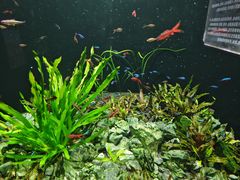 -成都浩海立方海洋公园