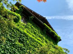 -解香楼(八盘岭路店)