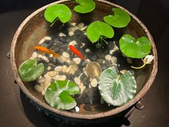 -曲水兰亭(北京四惠店)