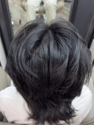 点击看大图 -藤野造型