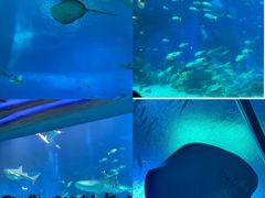 -珠海长隆海洋王国