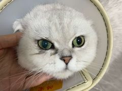 -芭比堂动物医院·犬猫全科·异宠专科(雁塔分院)
