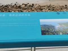 -杨梅坑
