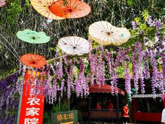 -山乡农家院(海淀区西北旺店)