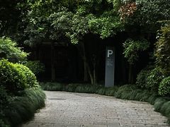 -杭州植物园