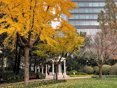 -静安公园(静安寺街道)