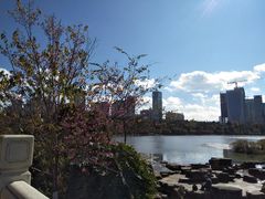 -洛龙公园