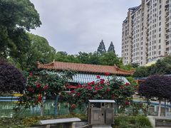 -水果湖儿童公园
