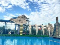 -苏州乐园森林水世界