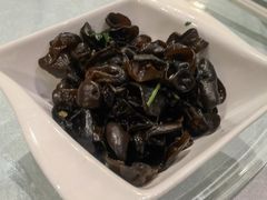 酸辣海木耳-东方明珠老上海8号餐厅(东方明珠广播电视塔店)