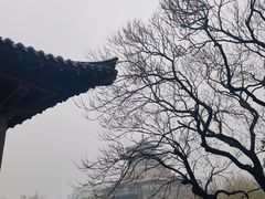 -解放阁