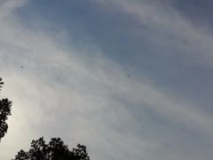 -雨花胜境
