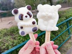 -沈阳森林动物园