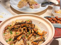 -侨美食家·粤菜(体育西路店)