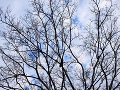 -南通洲际绿博园