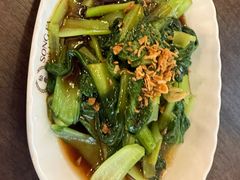 -松發肉骨茶(先得坊店)