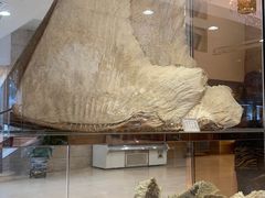 -黄埔华苑酒家(黄埔店)