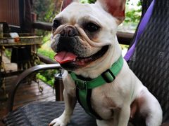 -马帮寨院坝火锅(龙港公园店)