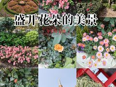 -美罗城