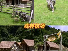 -龙岩森林水乡景区