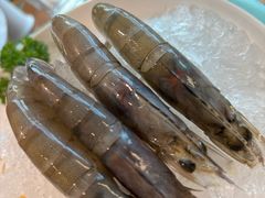 -佬土鹅肠火锅(中建大观店)