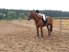 -月河湾马术俱乐部(朝阳店)