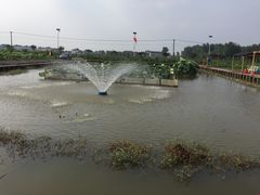 -同銮特种养殖场·龙虾垂钓