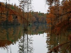 -尚湖风景区