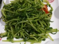 新鲜豌豆苗-老班长手工灌汤包老店(东山店)