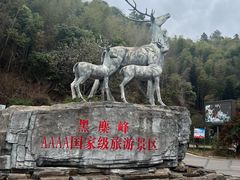 -长沙黑麋峰国家森林公园