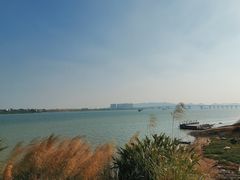 -羚羊峡古栈道森林公园