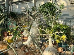 -国家植物园南园