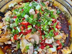 椒麻鸡-燕兵眉州肥肠鱼饭店