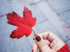 -好利来(革新店)