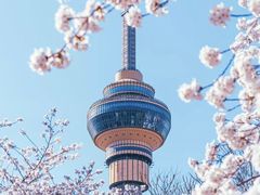 -中央广播电视塔