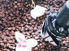 -LAB COFFEE来杯咖啡(浦仓路店)