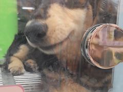 -FAELING PETS美天灵宠物(合生汇店)