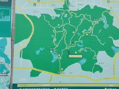 -火炉山森林公园